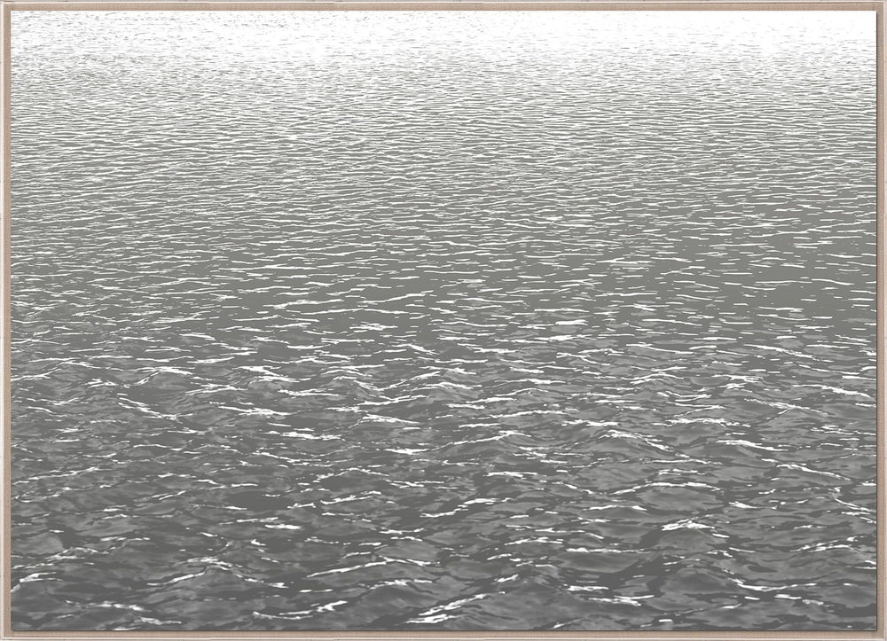 Natural Curiosities L.A. River Photograph