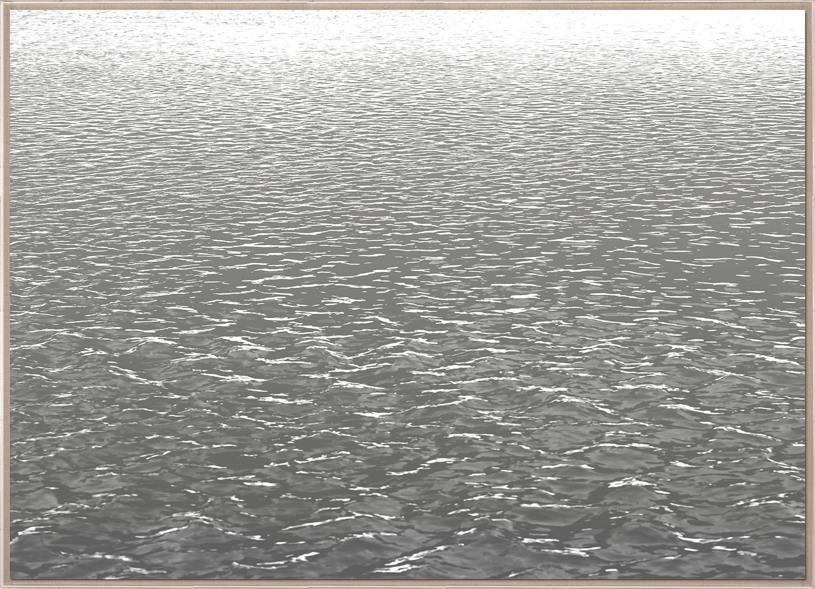 Natural Curiosities L.A. River Photograph