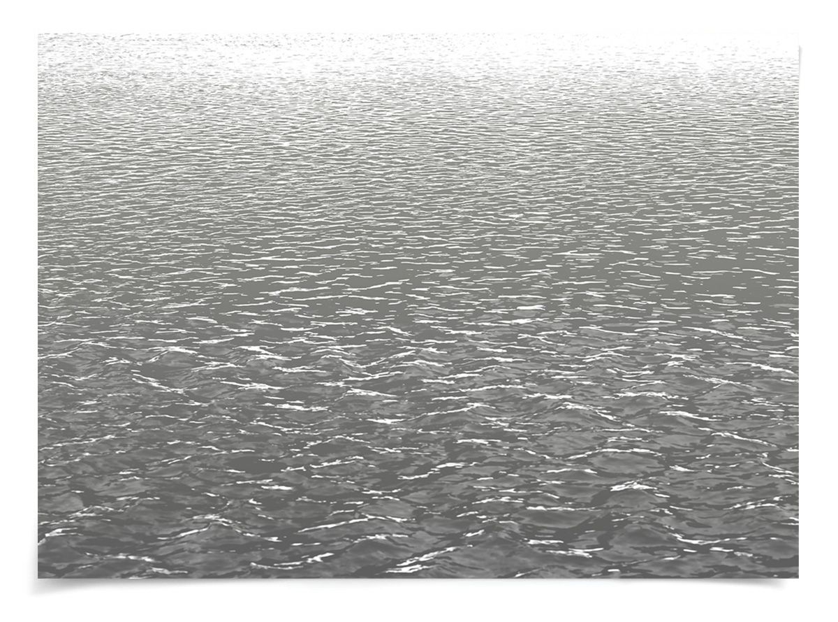 Natural Curiosities L.A. River Photograph