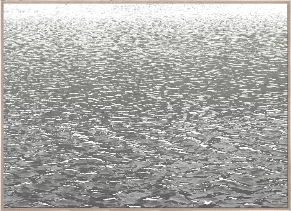 Natural Curiosities L.A. River 2, Photograph