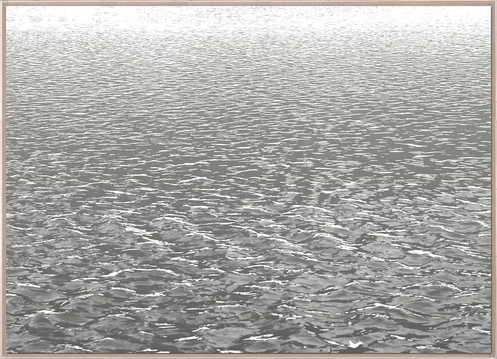 Natural Curiosities L.A. River 2, Photograph