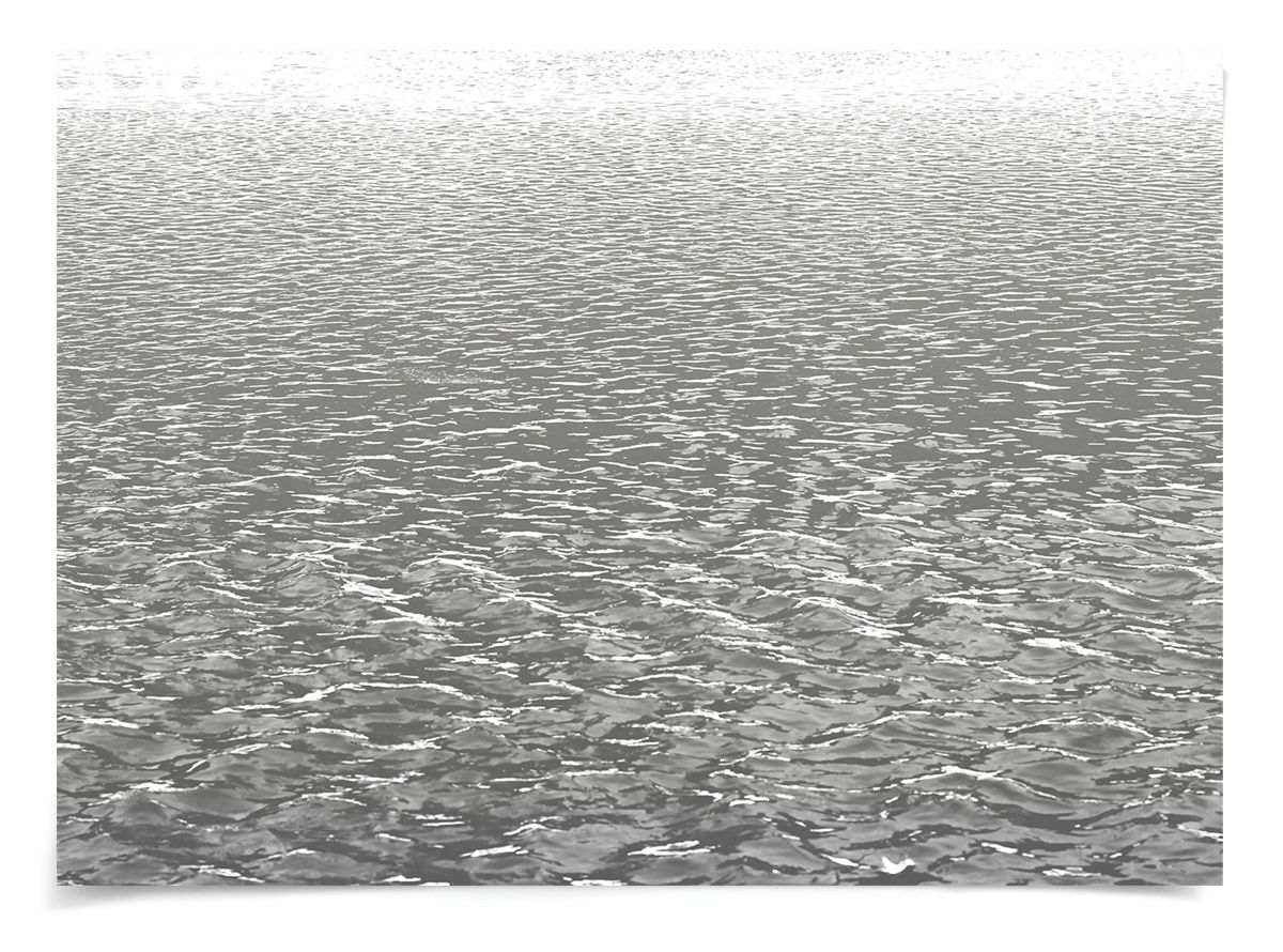 Natural Curiosities L.A. River 2, Photograph