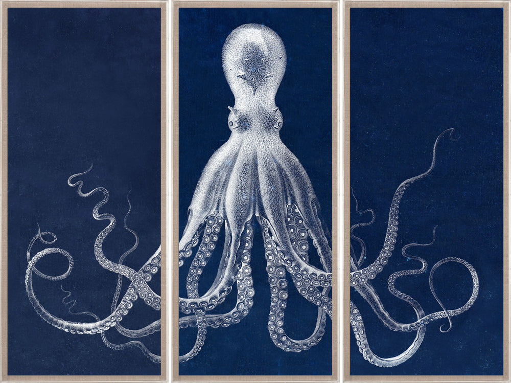 Natural Curiosities Lord Bodner Triptych in Blue, Framed