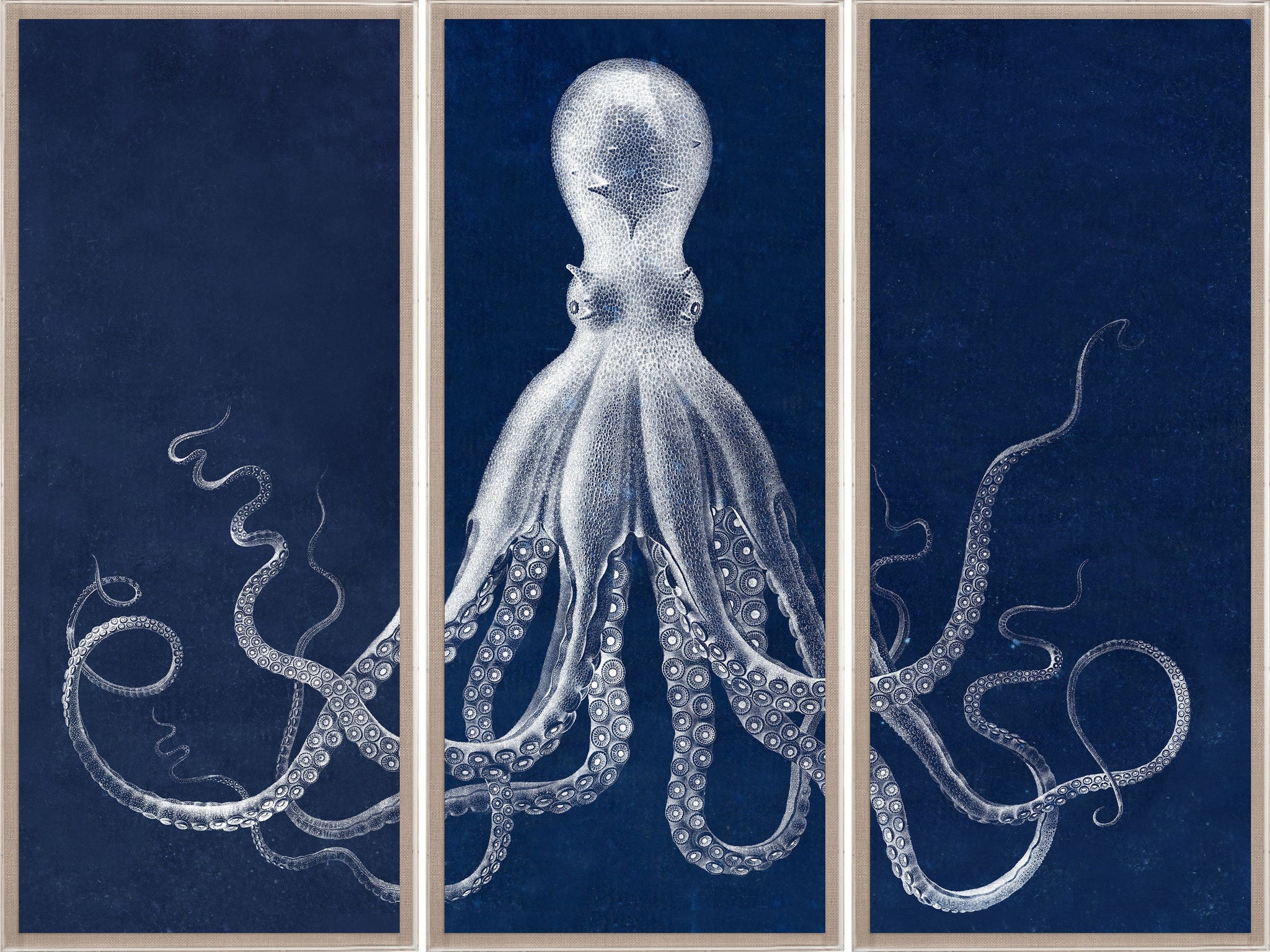 Natural Curiosities Lord Bodner Triptych in Blue