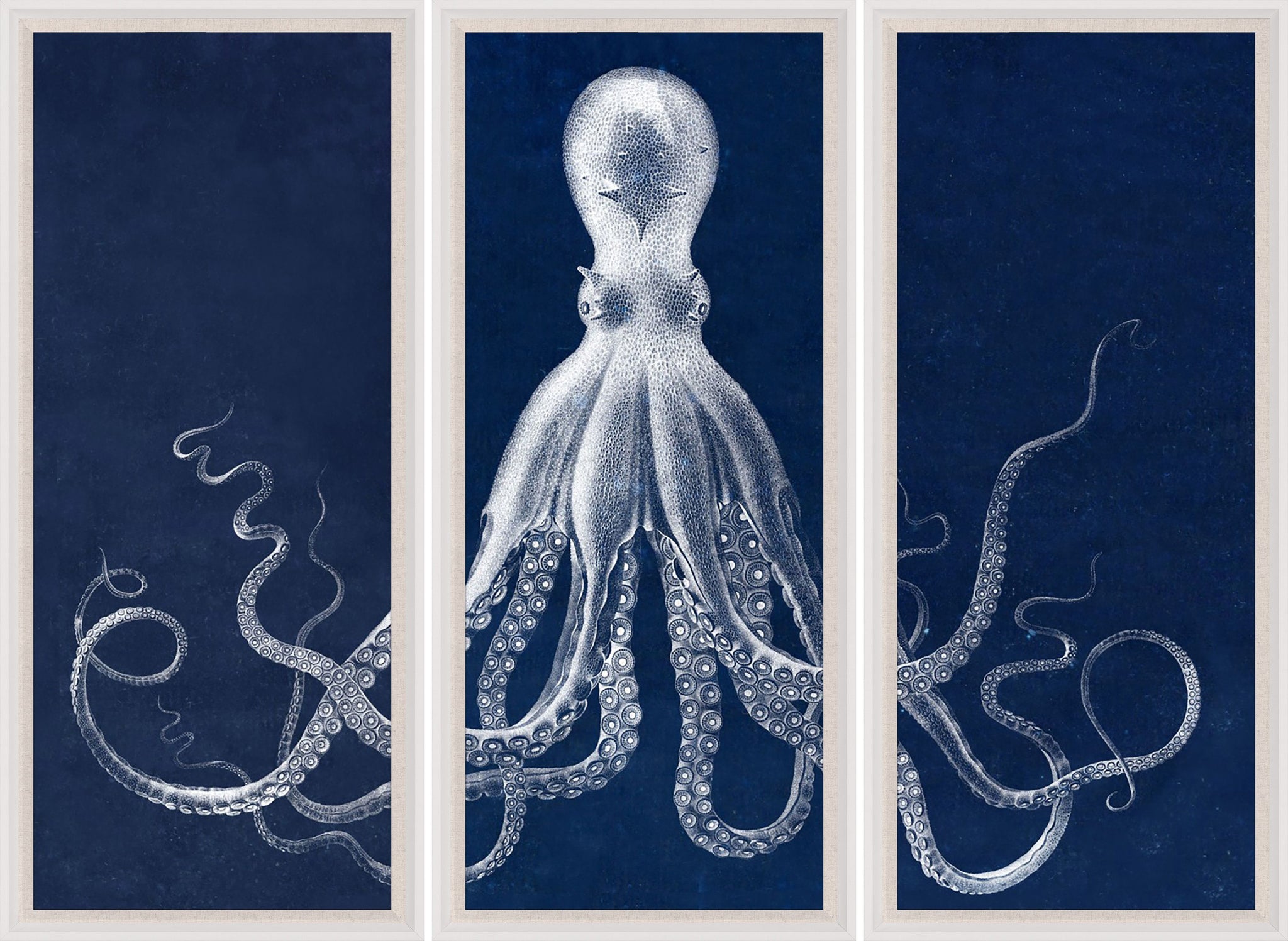 Natural Curiosities Lord Bodner Triptych in Blue