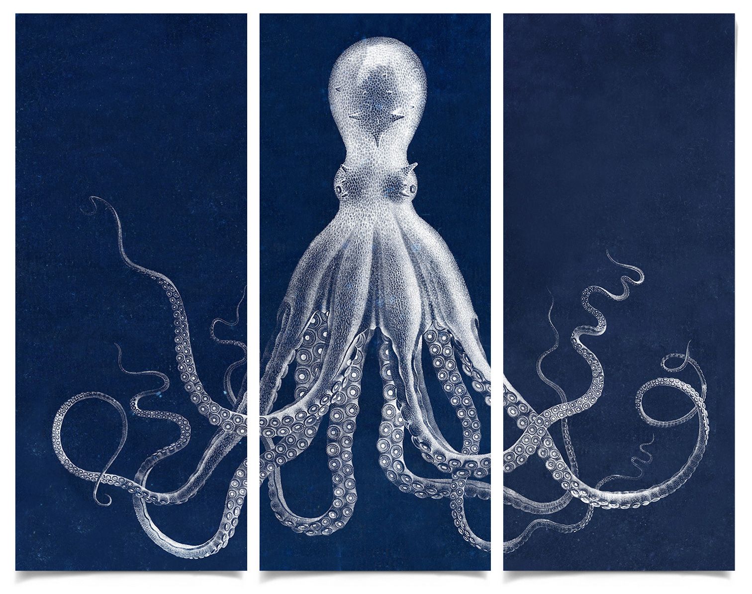 Natural Curiosities Lord Bodner Triptych in Blue