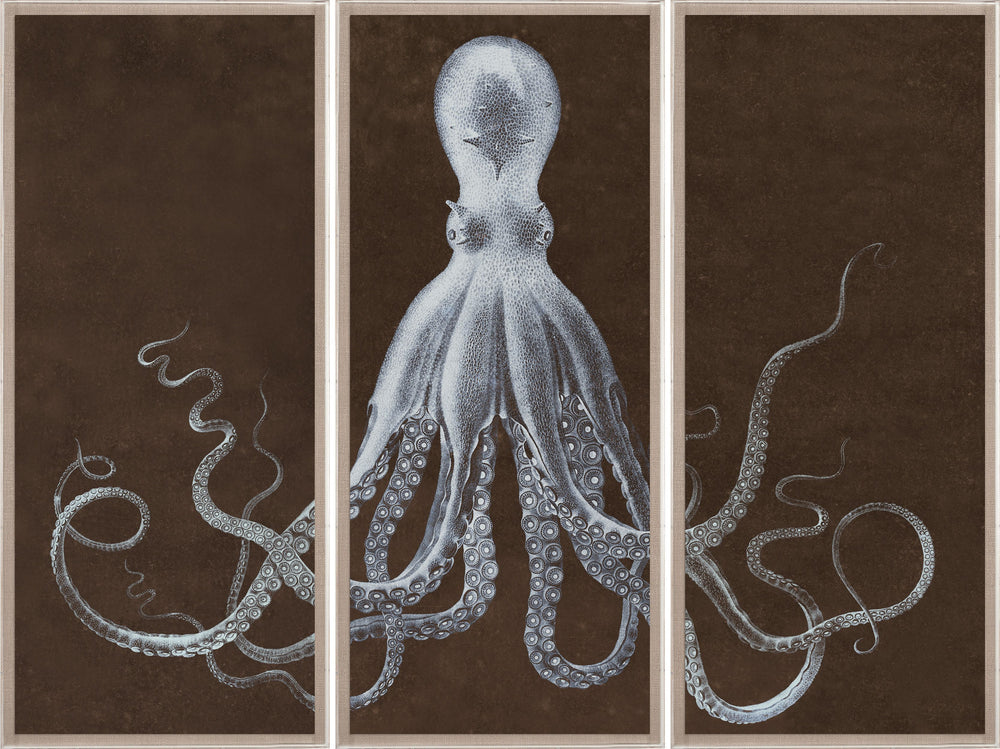 Natural Curiosities Lord Bodner Triptych in Brown