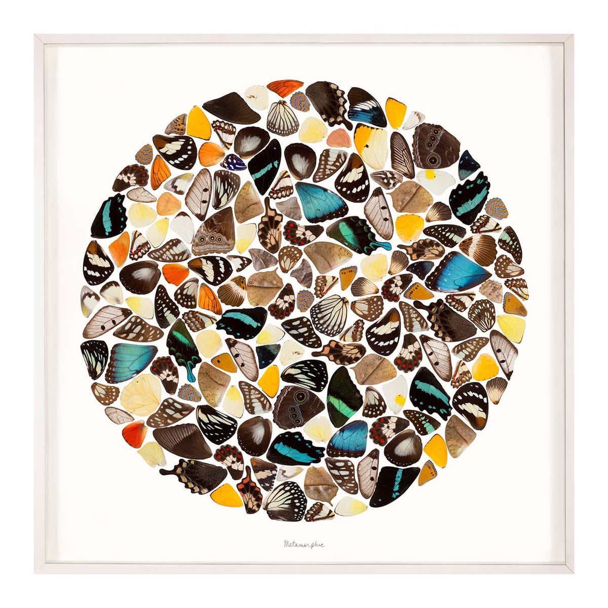 Jonathan Adler Metamorphic Wall Art