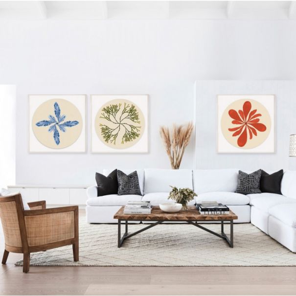 Natural Curiosities Modern Beach No. 1 Art