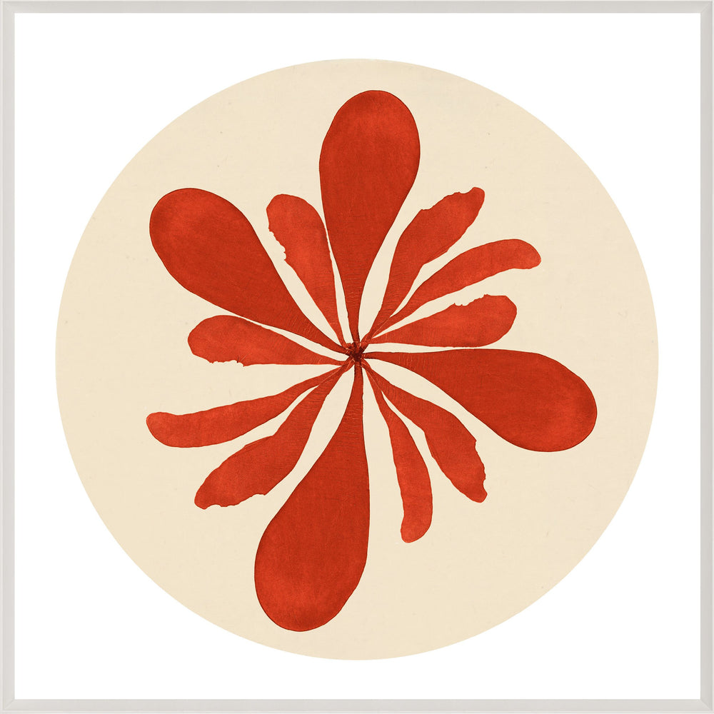 Natural Curiosities Modern Beach No. 1 Art