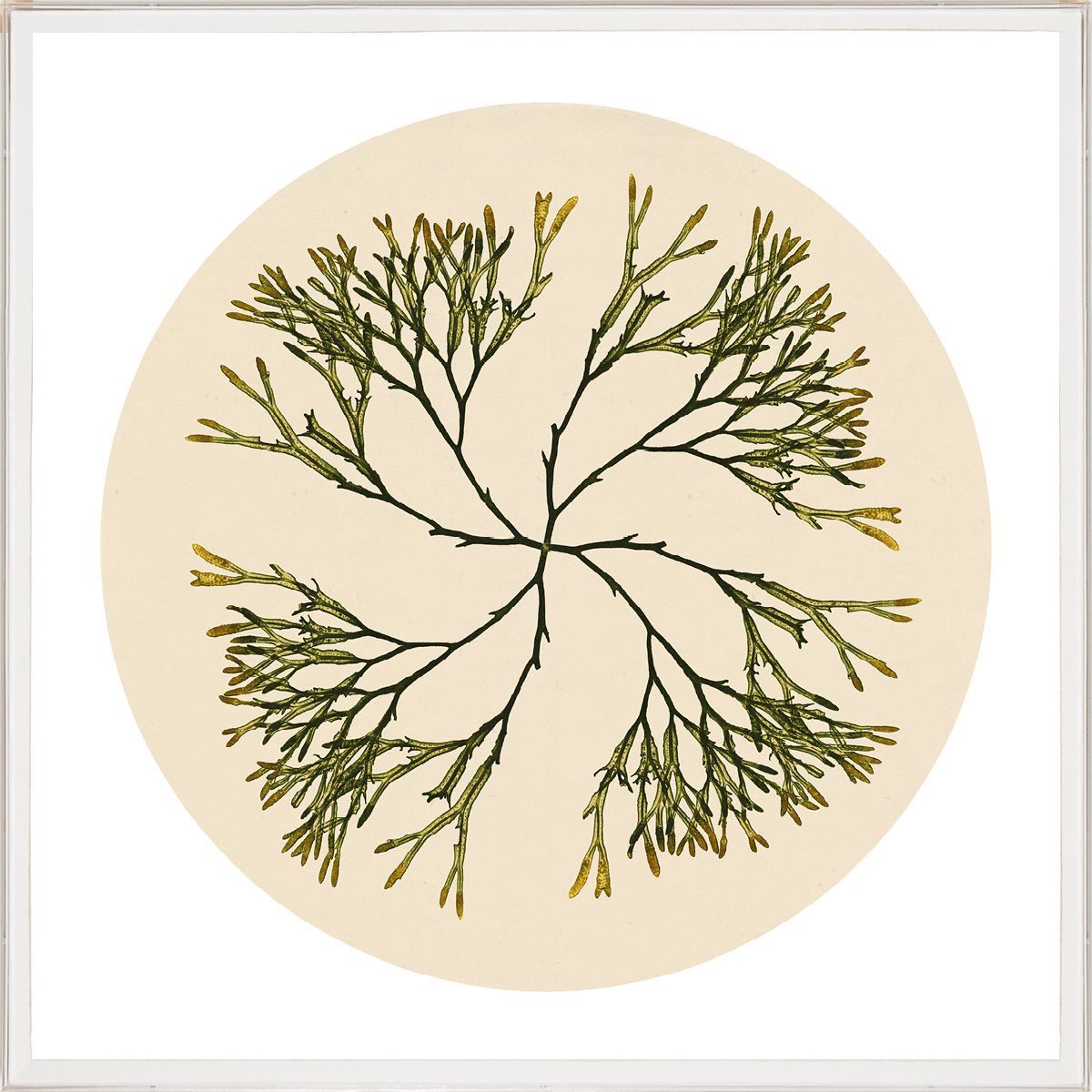 Modern Beach NO. 2 Art by Natural Curiosities