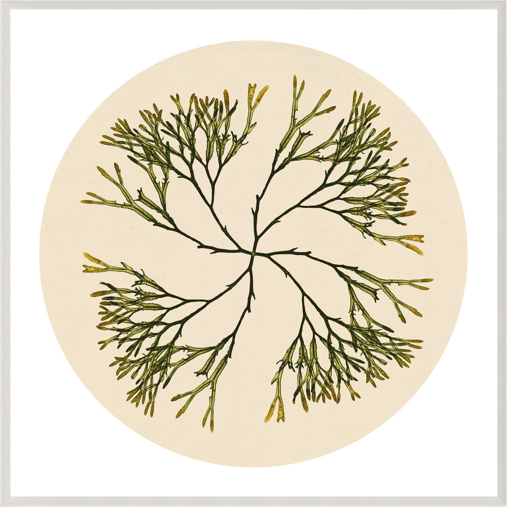 Modern Beach NO. 2 Art by Natural Curiosities