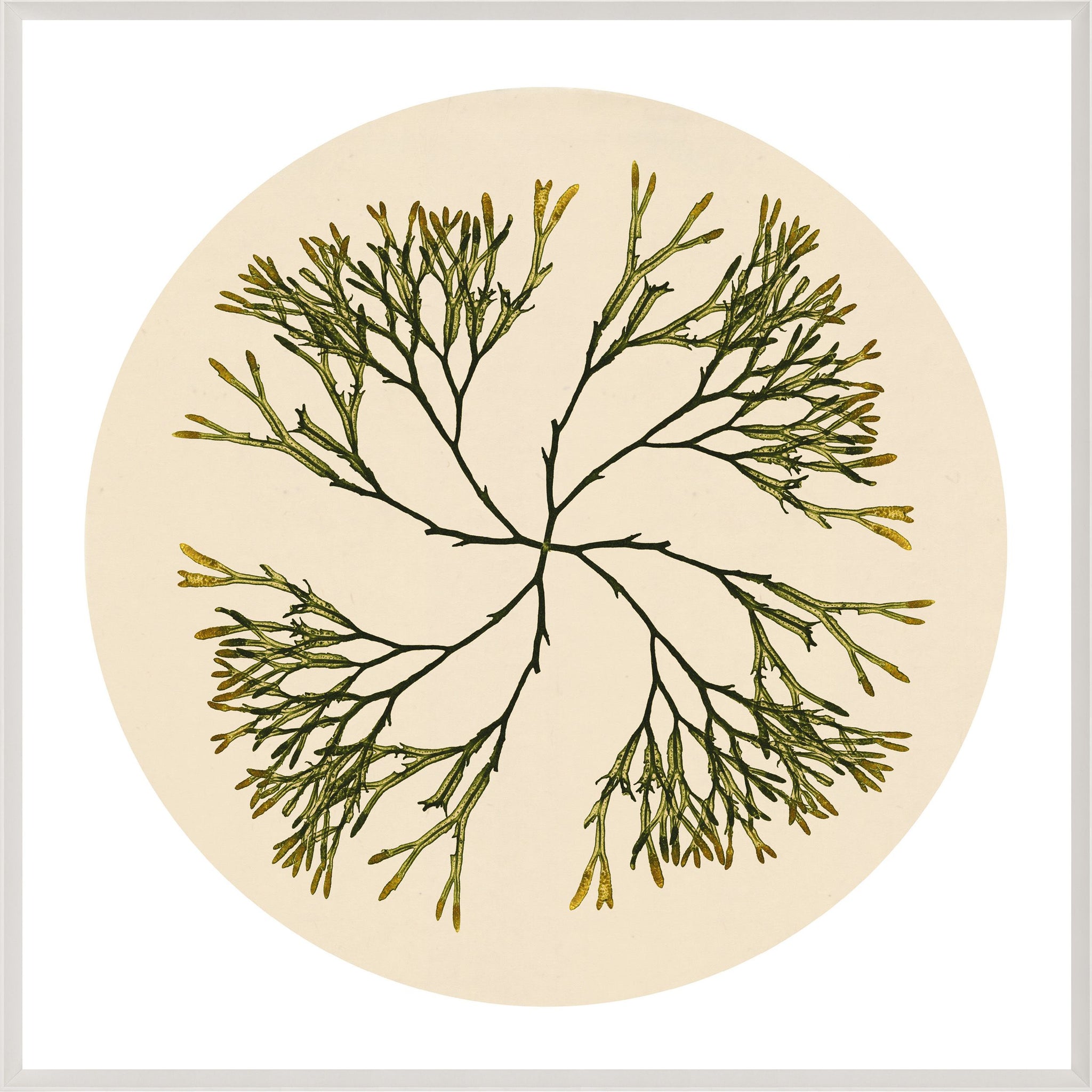 Modern Beach NO. 2 Art by Natural Curiosities