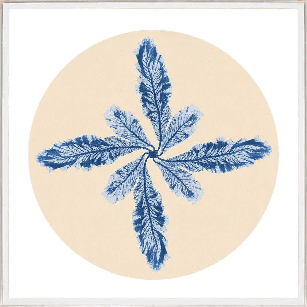 Modern Beach Art No. 3 by Natural Curiosities