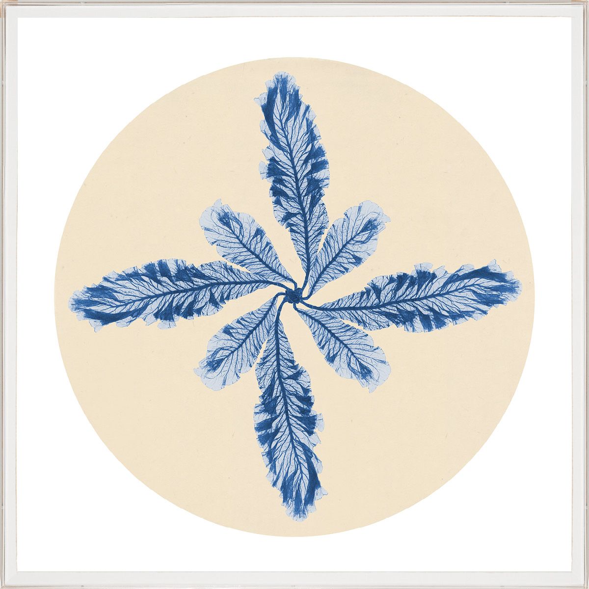 Modern Beach Art No. 3 by Natural Curiosities