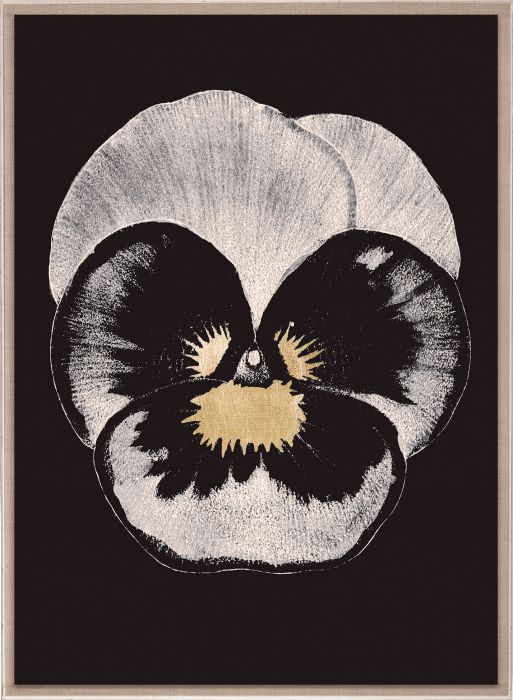 Natural Curiosities Modern Pansies Artwork, 1 and 2