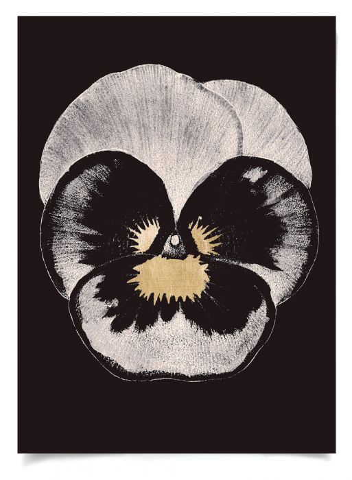 Natural Curiosities Modern Pansies Artwork, 1 and 2