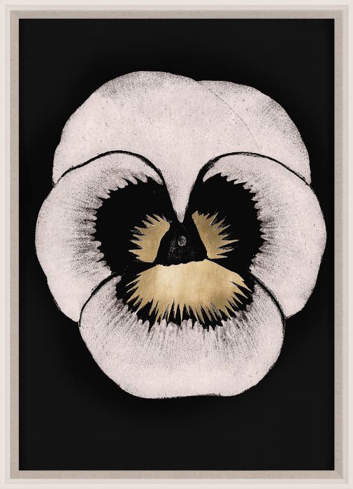 Natural Curiosities Modern Pansies Art