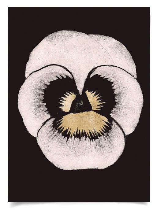 Natural Curiosities Modern Pansies Artwork, 1 and 2