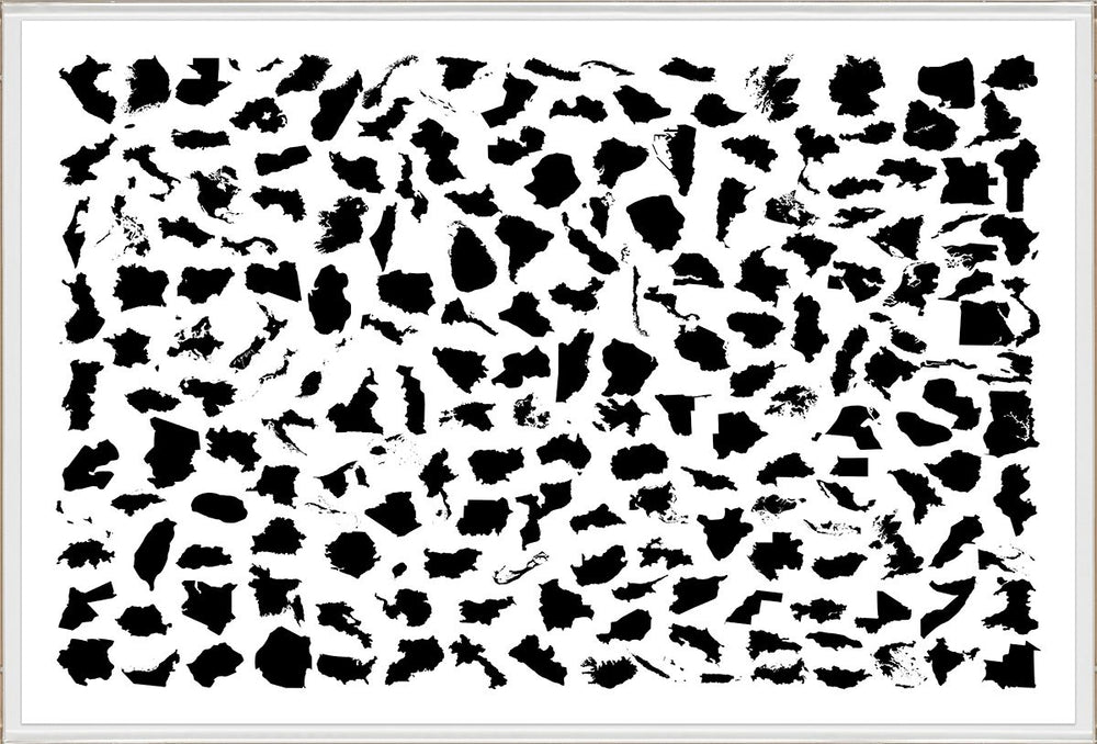 Natural Curiosities Modern World Black and White Art Print