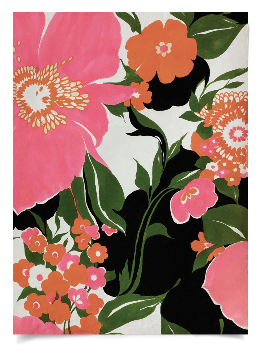 Natural Curiosities Modern Paradise, Color Field 2