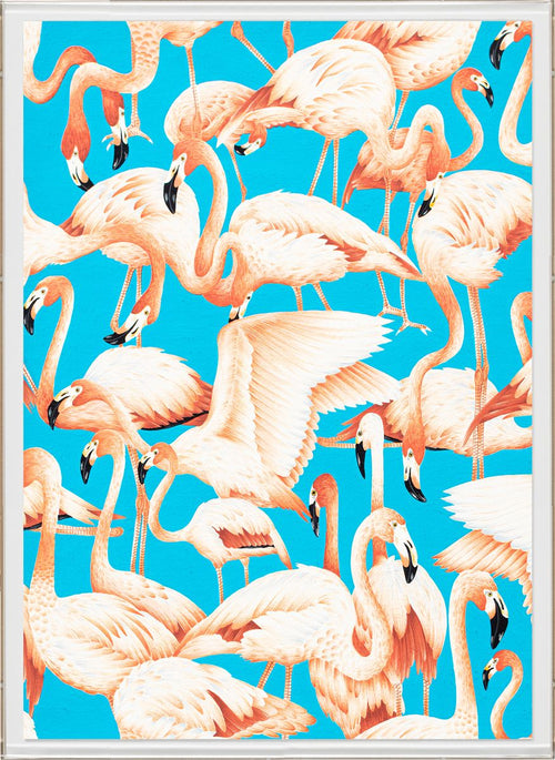 Natural Curiosities Modern Paradise, Flamingos