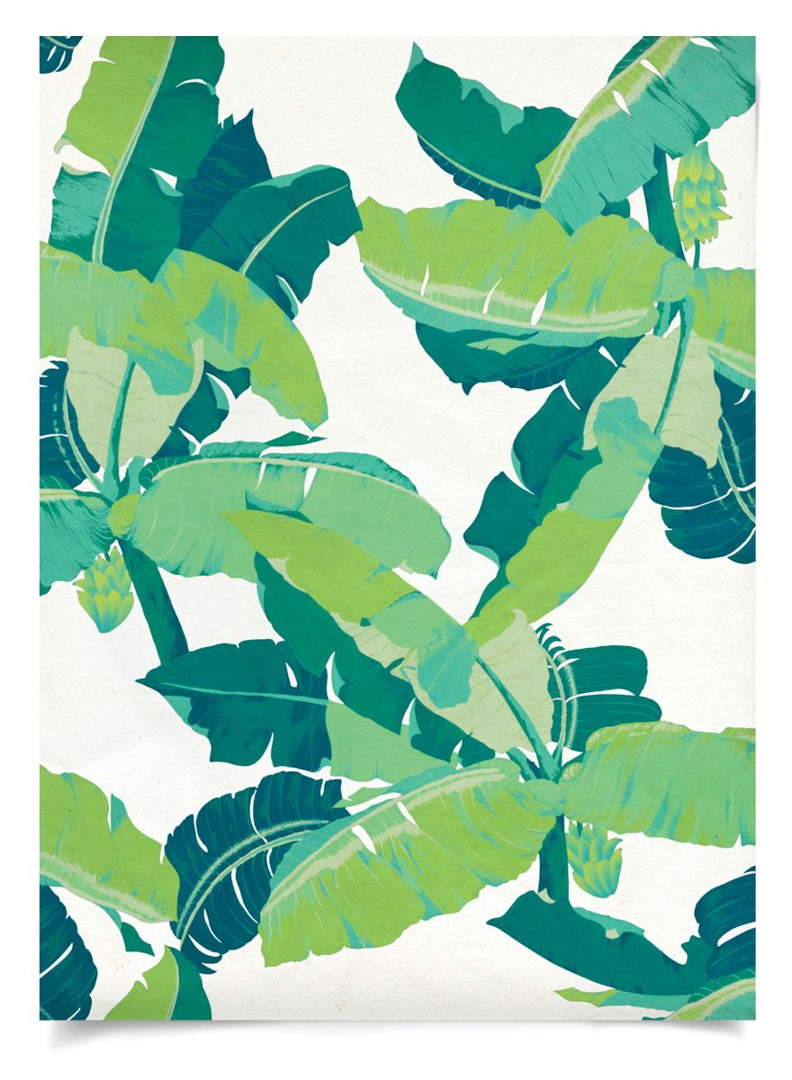 Natural Curiosities Modern Paradise Art, Modern Palms