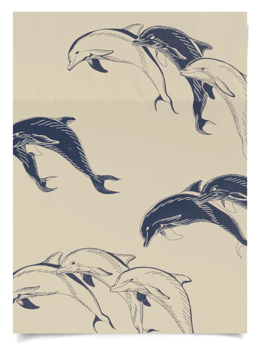 Natural Curiosities Modern Paradise, Swimming Dolphins 1