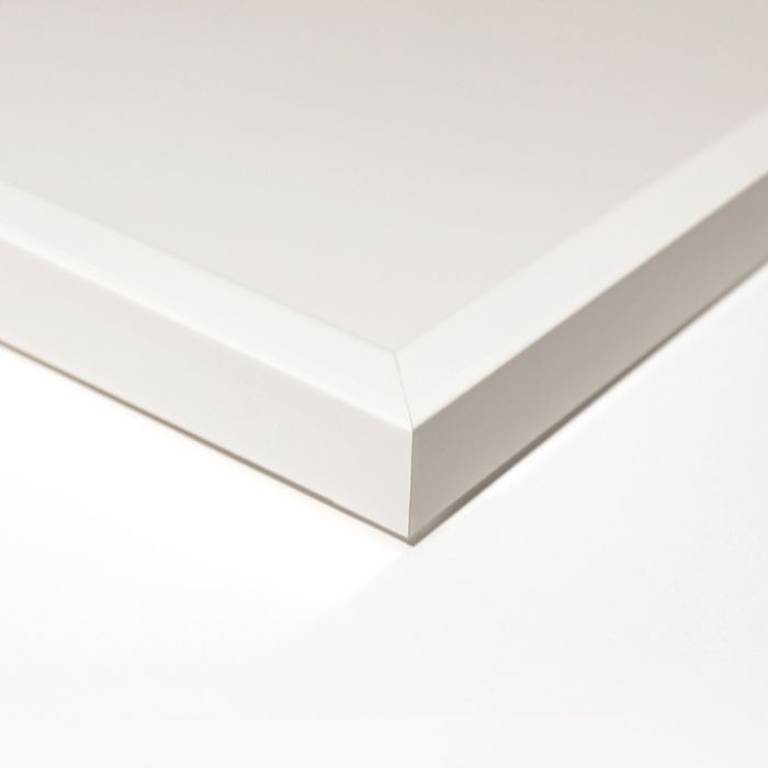 Natural Curiosities Color Shannon Gotland Collection Art