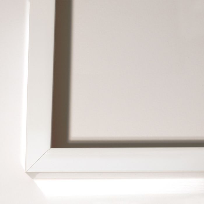 Natural Curiosities Color Shannon Gotland Collection Art