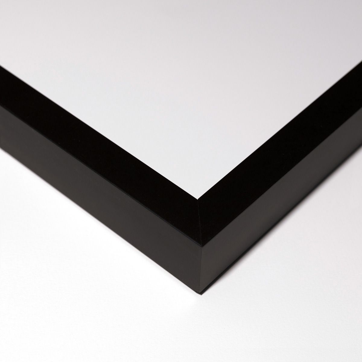 David Ritchie Collection Art by Natural Curiosities