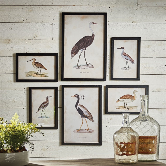 Waterfowl Gallery, Set Of 6