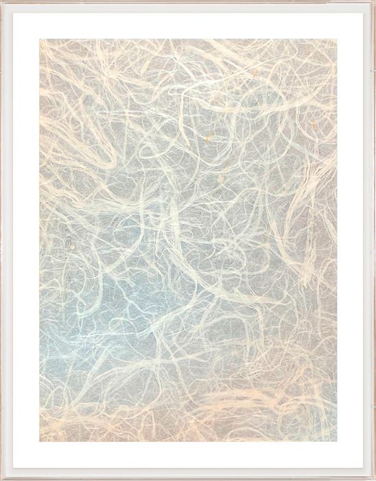 Natural Curiosities Natural Fibres Series 2, 1 Art