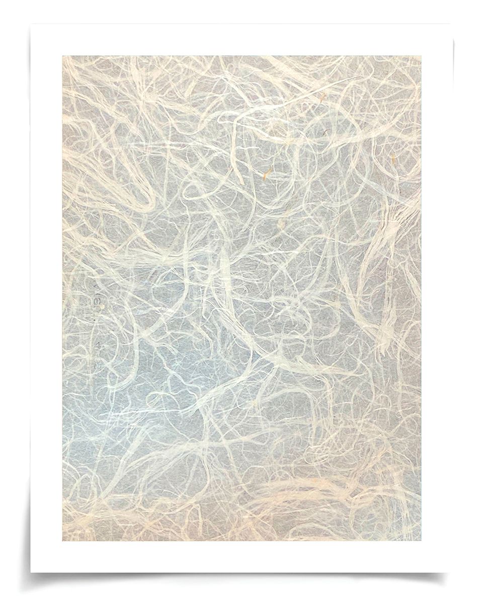 Natural Curiosities Natural Fibres Series 2, 1 Art