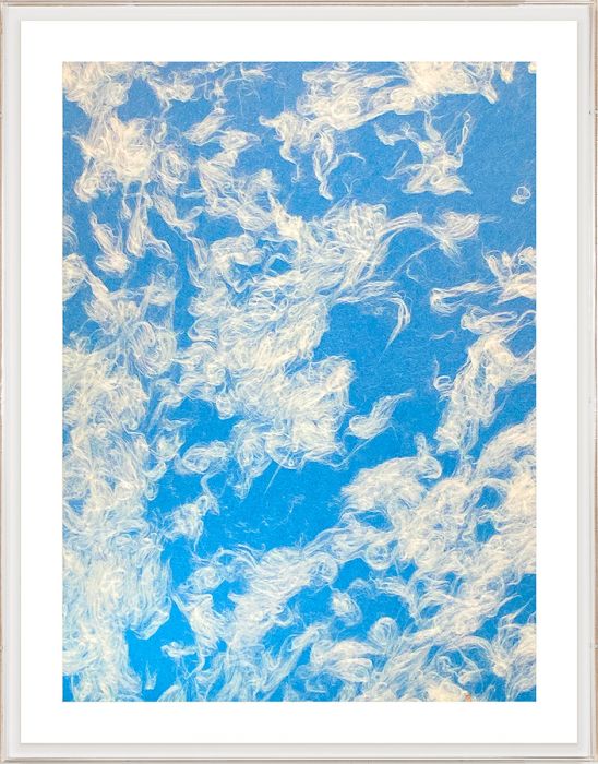 Natural Curiosities Natural Fibres Series 2, 2 Art