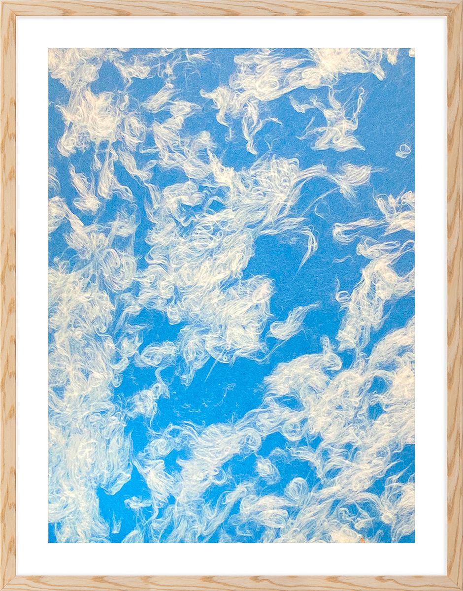 Natural Curiosities Natural Fibres Series 2, 2 Art