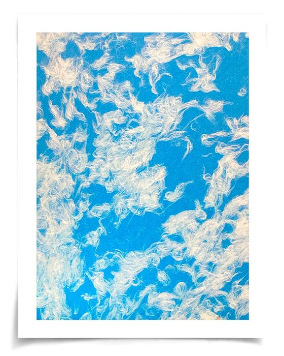 Natural Curiosities Natural Fibres Series 2, 2 Art