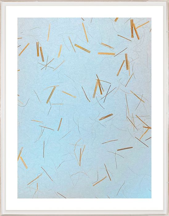 Natural Curiosities Natural Fibres Series 5, 1 Art