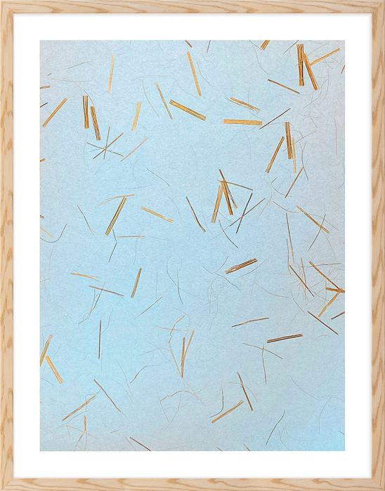 Natural Curiosities Natural Fibres Series 5, 1 Art