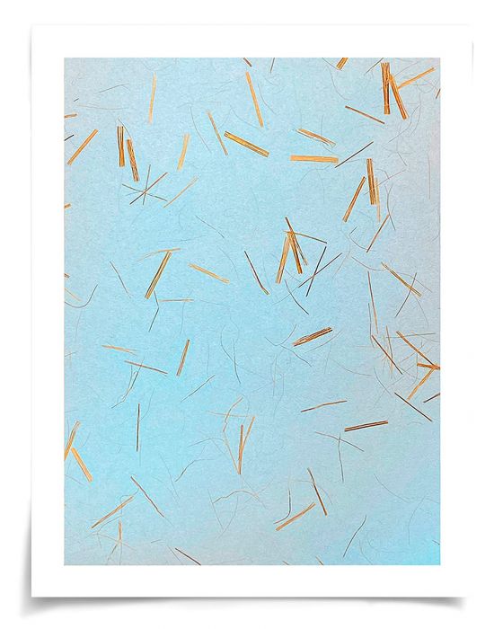 Natural Curiosities Natural Fibres Series 5, 1 Art