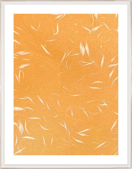 Natural Curiosities Natural Fibres Series 5, 2 Art