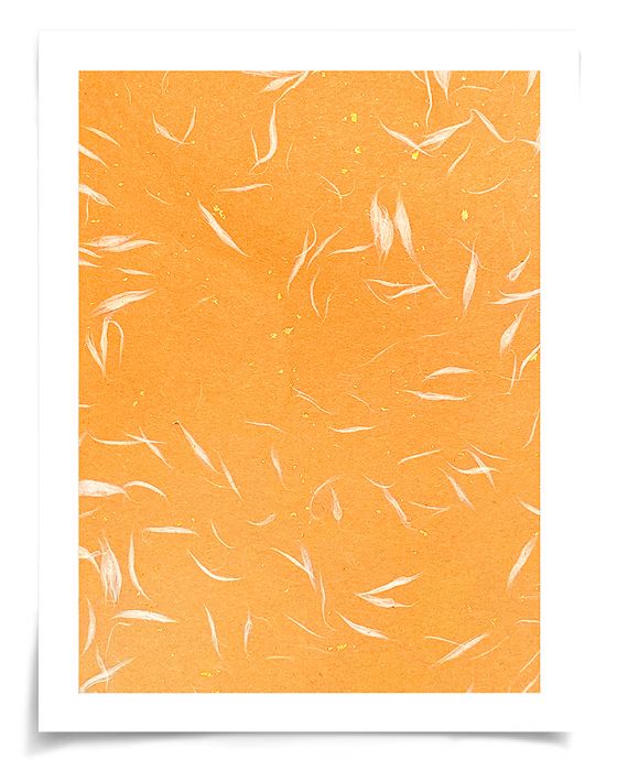 Natural Curiosities Natural Fibres Series 5, 2 Art