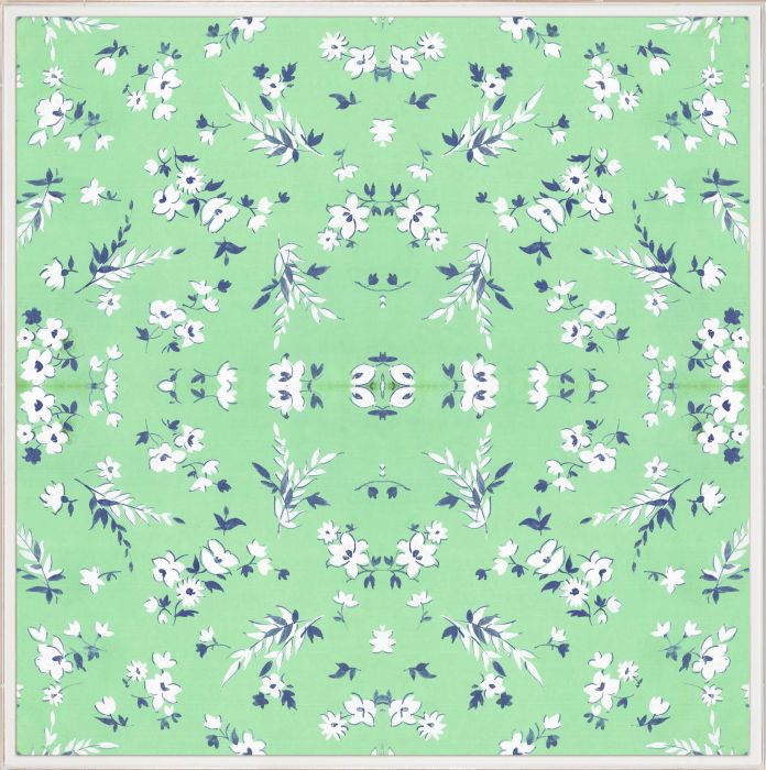 Nature Kaleidoscopes 3 Art by Natural Curiosities