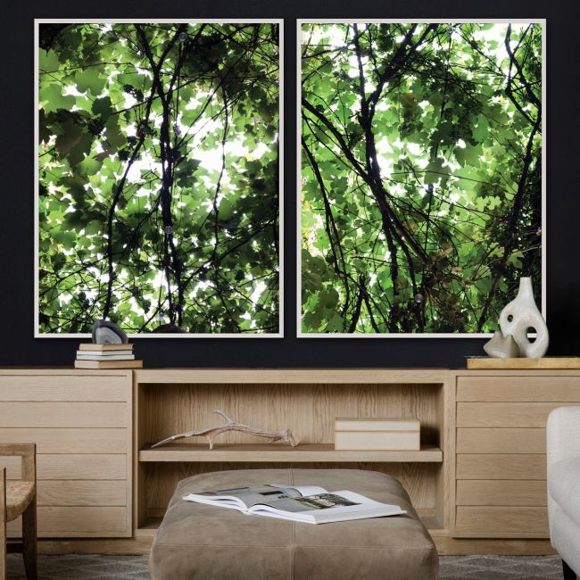 Nature Light 2 by Natural Curiosities