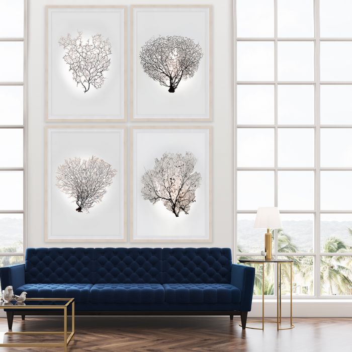 Natural Curiosities Nature Sea Fan Art Series