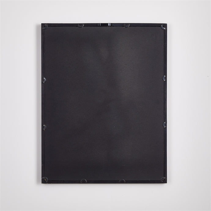 Cyanotype Queen Annes Lace Prints St/4