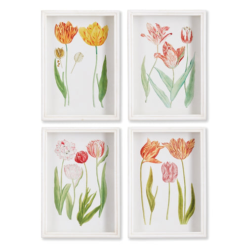 Tulip Prints St/4