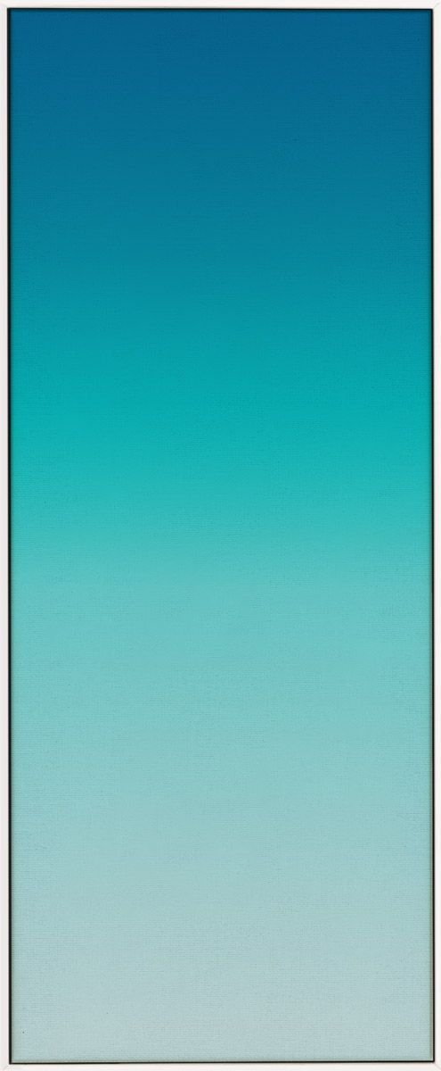 Natural Curiosities Ombre Art, Various Colors