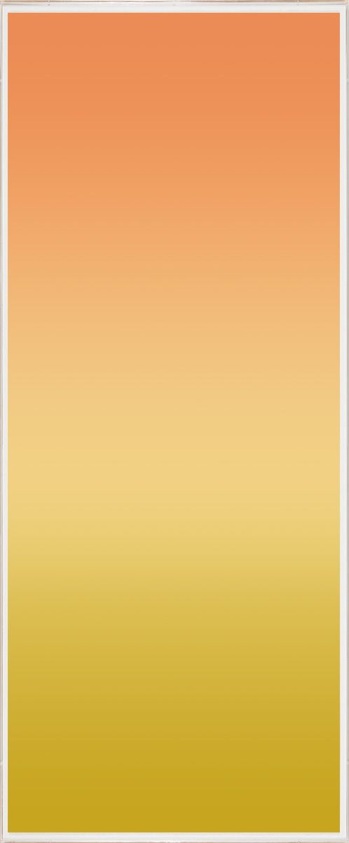 Natural Curiosities Ombre Wall Art