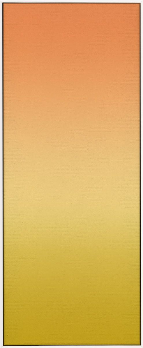 Natural Curiosities Ombre Art, Various Colors